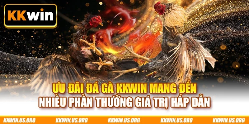 Ưu đãi đá gà KKWIN mang đến nhiều phần thưởng giá trị hấp dẫn